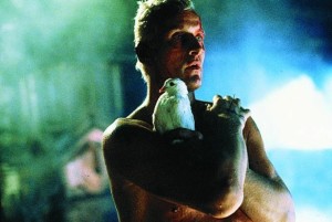 blade-runner - roy